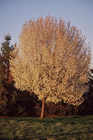 Norristown Farm Park, PA - All Seasons - Norristown Farm Park, PA