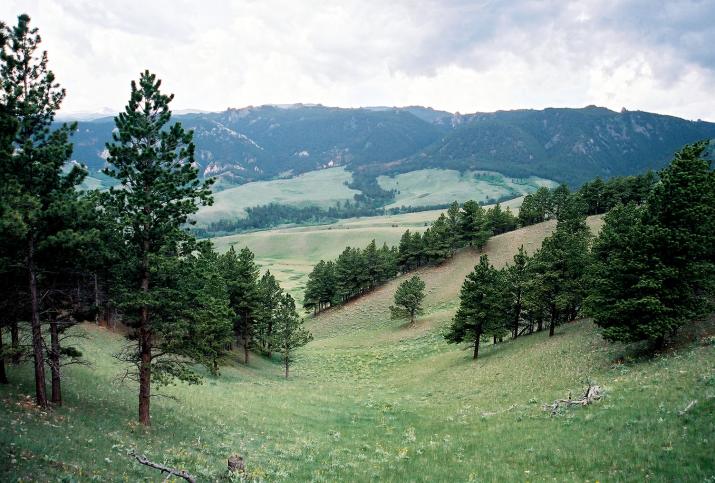 Wyoming Wilderness - Saddlestring, Wyoming