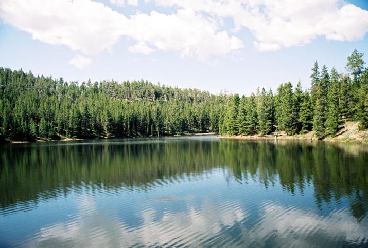 lake and reflection - TP, Wyoming