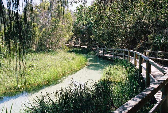 Fraser Island, Australia