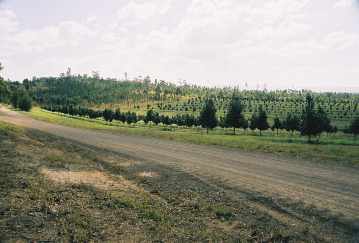 September '03 in Australia - Glass House Mountains, Australia