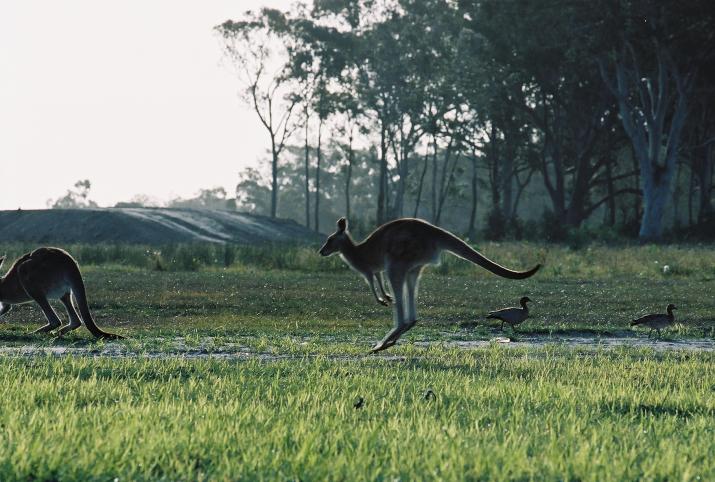 Bribie Island, Australia