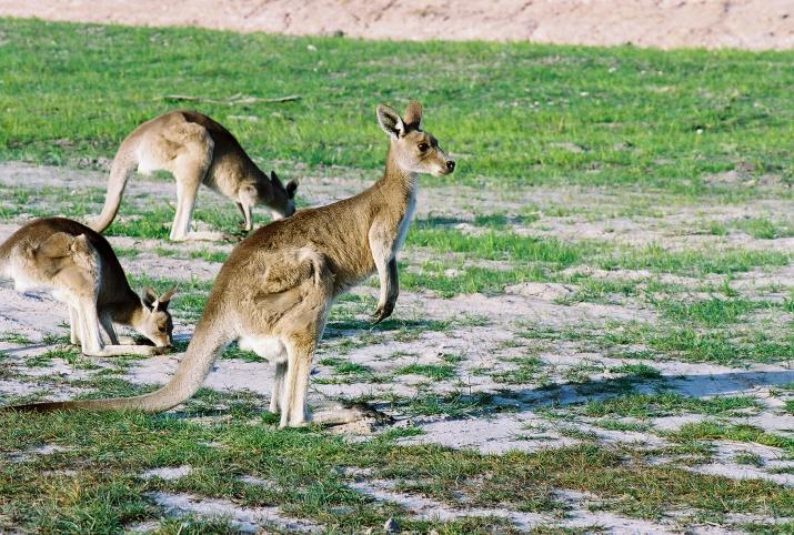 September '03 in Australia - Bribie Island, Australia