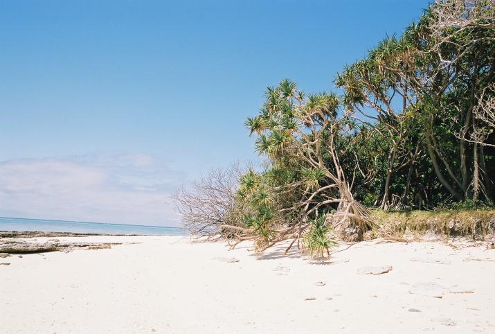 Lady Musgrave Island, Great Barrier Reef, Australia