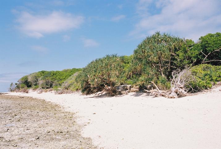 September '03 in Australia - Lady Musgrave Island, Great Barrier Reef, Australia