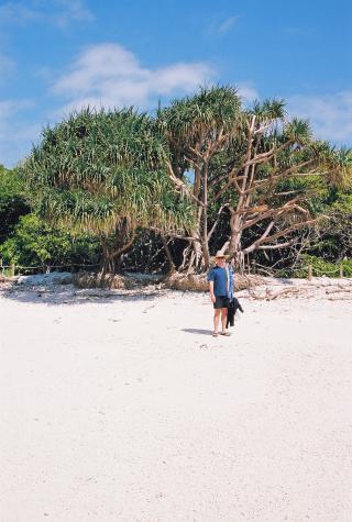 September '03 in Australia - Lady Musgrave Island, Great Barrier Reef, Australia