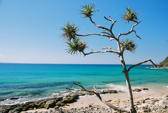 September '03 in Australia - Noosa, Australia