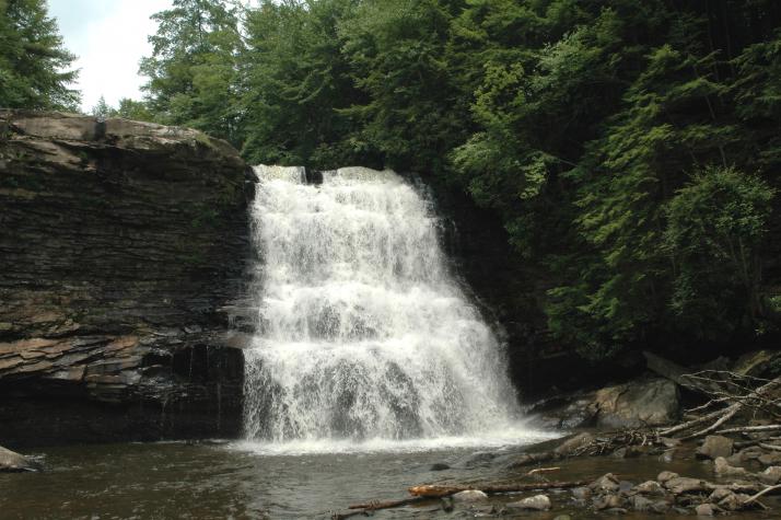 June '04 Trip to Deep Creek Lake - Swallow Falls State Park, MD