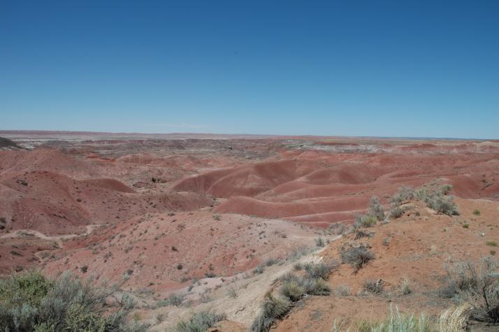 Summer '04 Road Trip - painted desert, nm