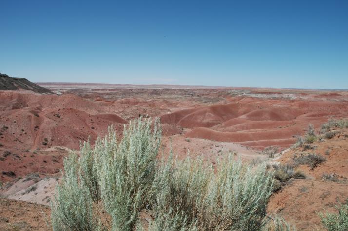 Summer '04 Road Trip - painted desert, nm