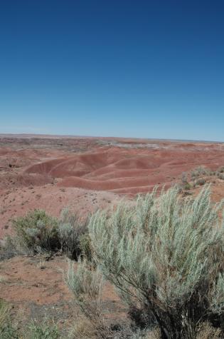 Summer '04 Road Trip - painted desert, nm