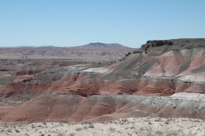 Summer '04 Road Trip - painted desert, nm