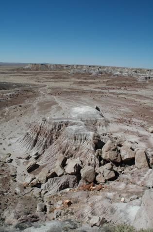 Summer '04 Road Trip - petrified forest, nm