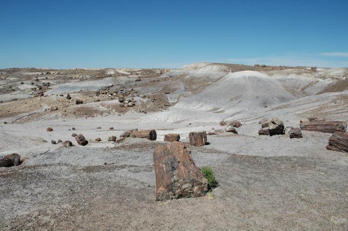 Summer '04 Road Trip - petrified forest, nm