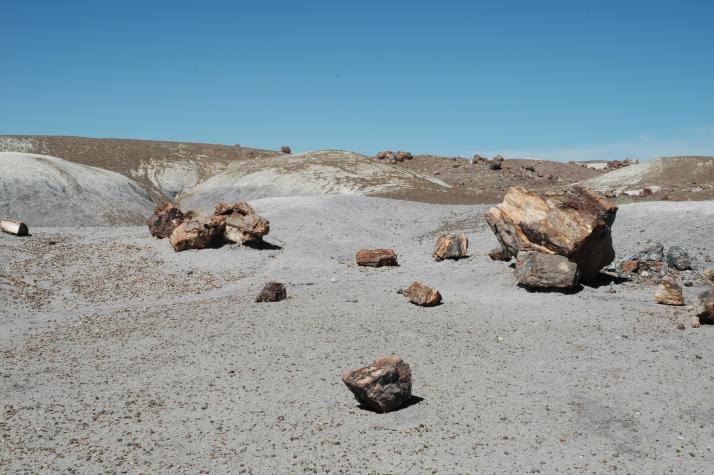 Summer '04 Road Trip - petrified forest, nm