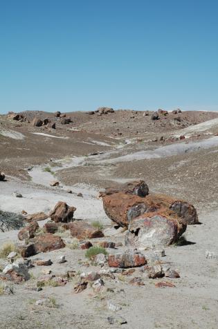 Summer '04 Road Trip - petrified forest, nm