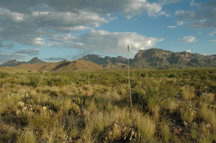 Summer '04 Road Trip - big bend national park, tx