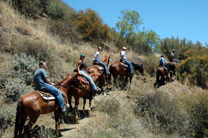 well all go for a ride - Ojai, CA