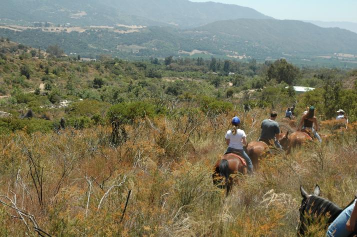 well all go for a ride - Ojai, CA