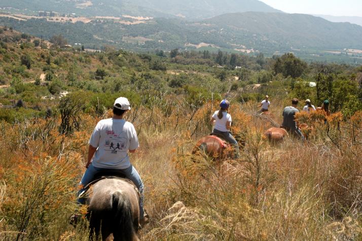 well all go for a ride - Ojai, CA