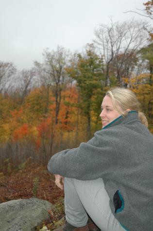 heather with fall color - Berkshires, MA