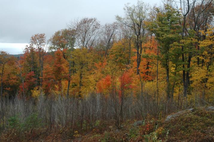 hills with fall colors - Berkshires, MA