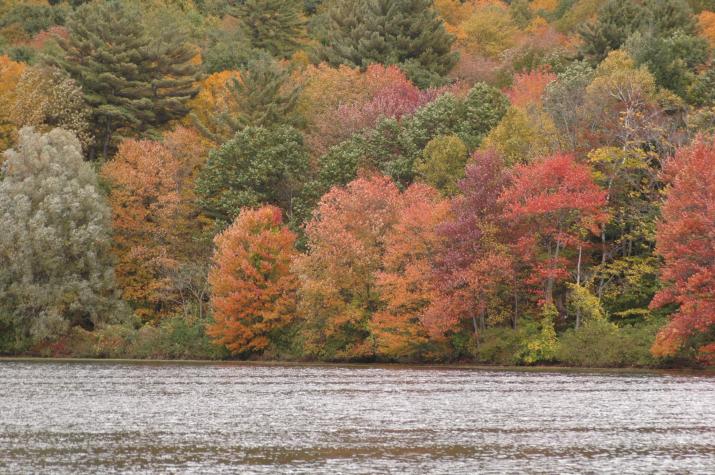 hills with fall colors - Berkshires, MA