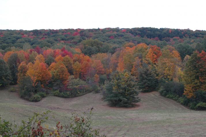 hills with fall colors - Berkshires, MA