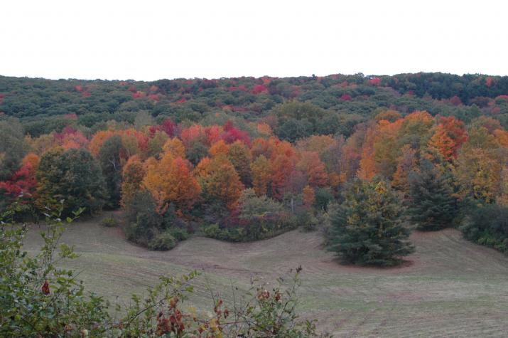 hills with fall colors - Berkshires, MA