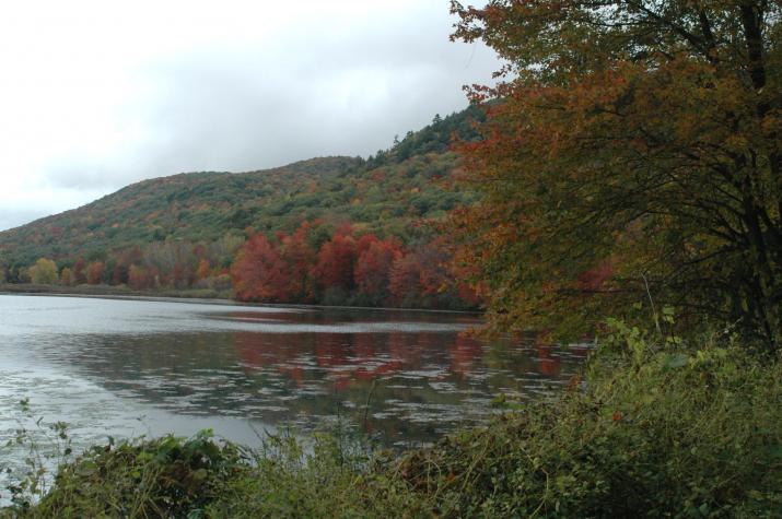 hills with fall colors - Berkshires, MA