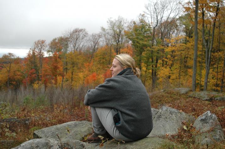 heather on a rock - Berkshires, MA