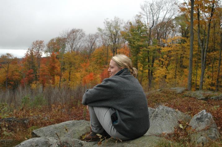 heather on a rock - Berkshires, MA