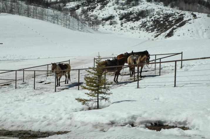 Steamboat, CO