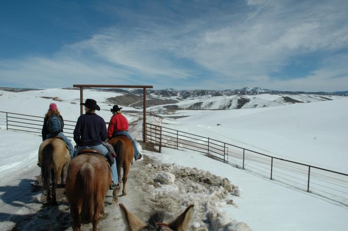 Steamboat, CO