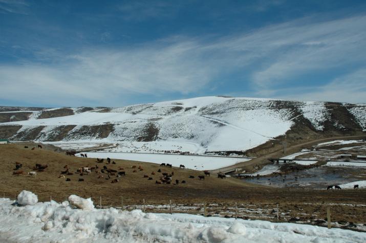 Steamboat, CO